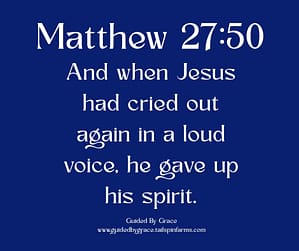 Matthew 2750