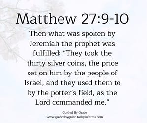 Matthew 279