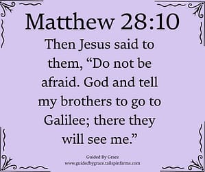 Matthew 2810