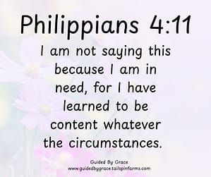 Philippian 411