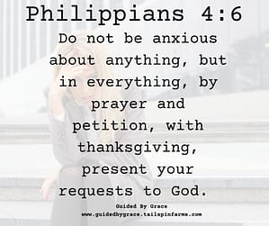 Philippians 46
