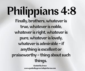 Philippians 48