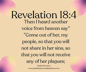 Revelation 184