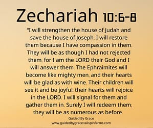 Zechariah 106-8