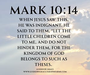 Mark 1014