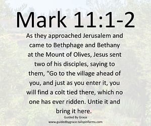 Mark 111