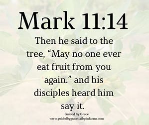 Mark 1114