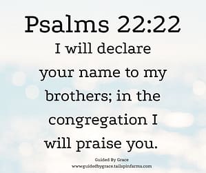 Psalms 2222