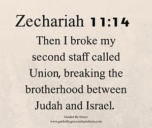 Zechariah 1114
