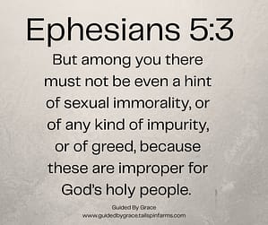 Ephesians 53