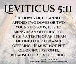 Leviticus 511