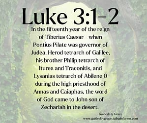 Luke 31-2