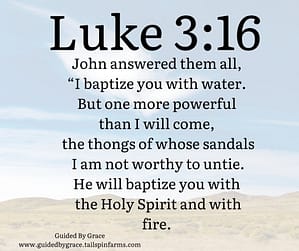 Luke 316