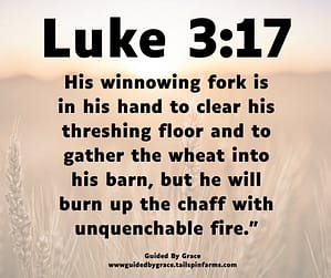 Luke 317