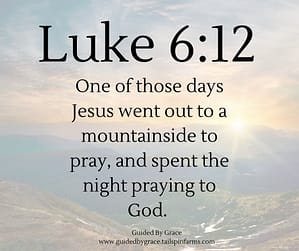 Luke 612
