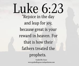 Luke 623