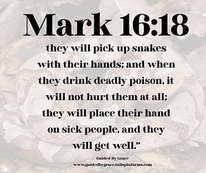 Mark 1618