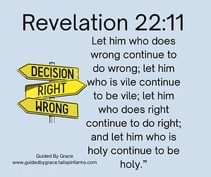 Revelation 2211