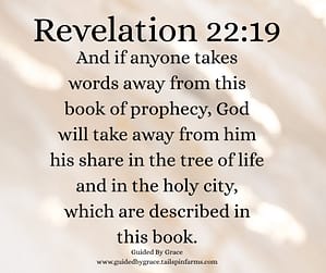 Revelation 2219