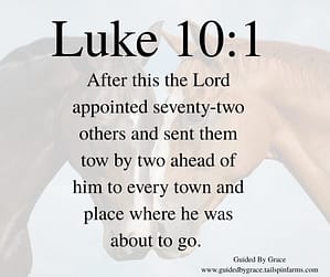 Luke 101