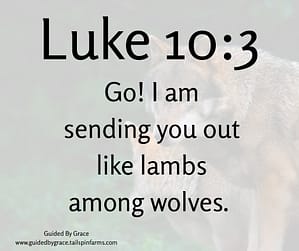 Luke 103