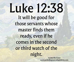 Luke 1238