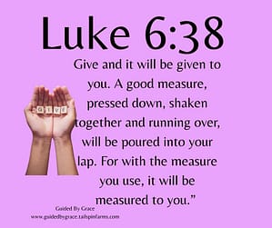 Luke 638 (1)