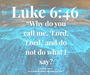 Luke 646
