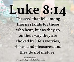 Luke 814