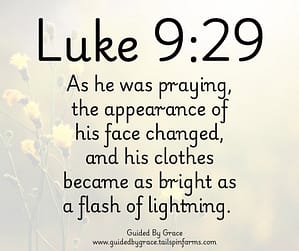 Luke 929