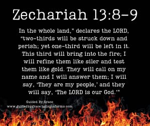 Zechariah 138-9