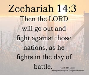 Zechariah 143