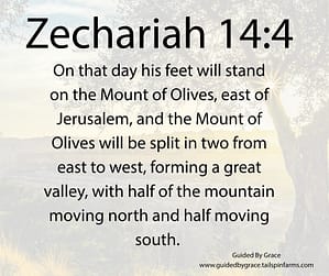 Zechariah 144