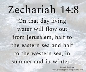 Zechariah 148