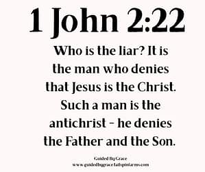 1 John 222