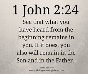 1 John 224