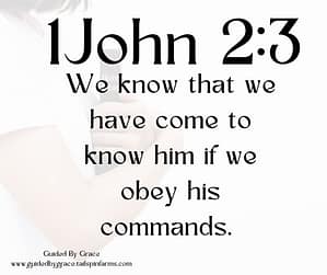 1John 23