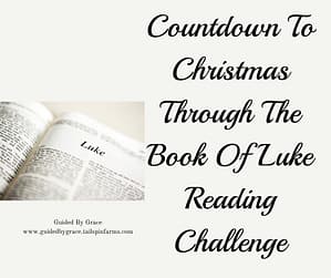 Countdown To Christmas Through The Book Of Luke Reading Challenge