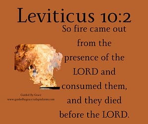 Leviticus 102