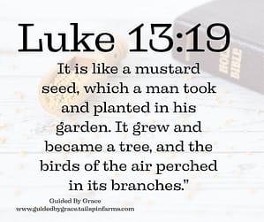 Luke 1319