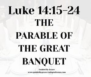 Luke 1415-24
