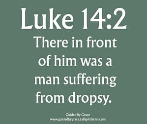 Luke 142