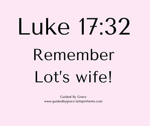Luke 1732