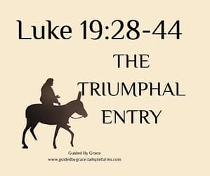 Luke 1928-44
