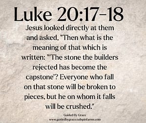 Luke 2018