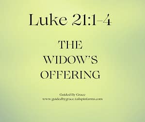 Luke 211-4