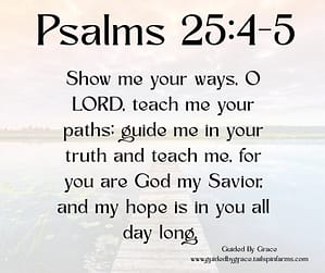 Psalms 254