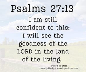 Psalms 2713
