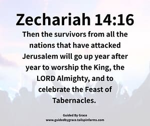 Zechariah 1416
