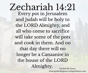 Zechariah 1421